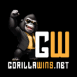 Gorilla Wins Casino